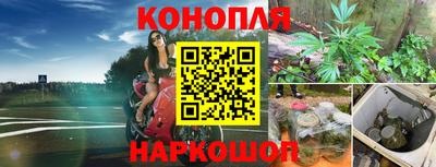 ALPHA PVP Кимры