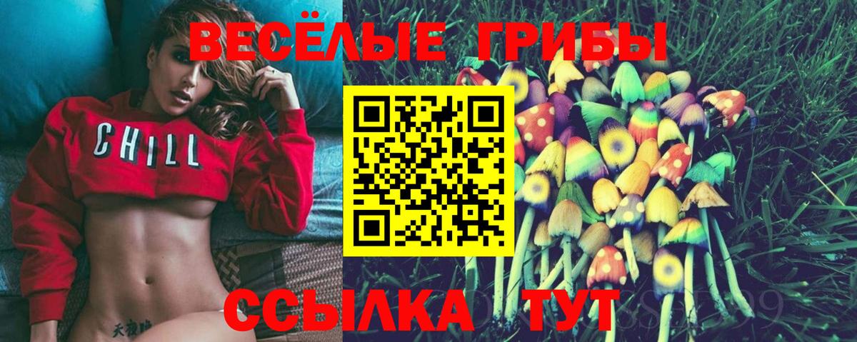 Галлюциногенные грибы Psilocybe Усть-Илимск